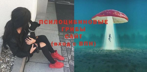 ALPHA-PVP Армянск