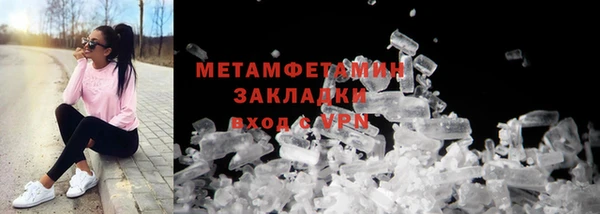 прущие грибы Баксан