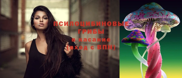 прущие грибы Баксан
