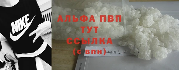прущие грибы Баксан