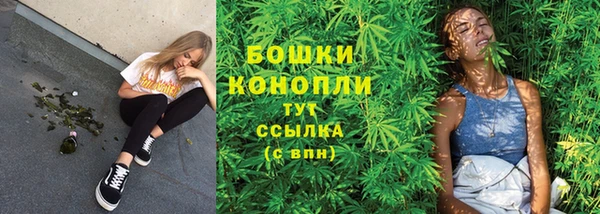 прущие грибы Баксан
