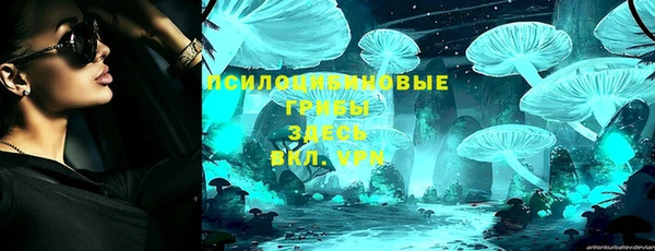 прущие грибы Баксан