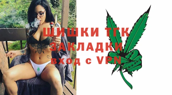 прущие грибы Баксан