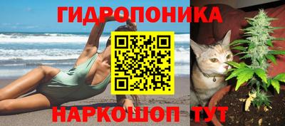 mix Кингисепп