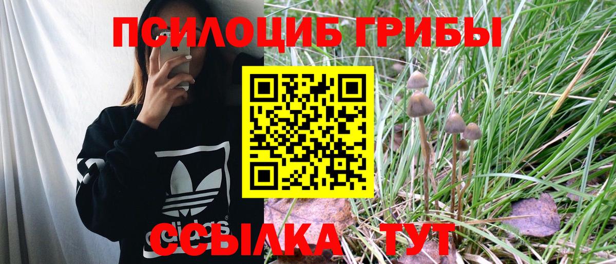 Псилоцибиновые грибы GOLDEN TEACHER Унеча