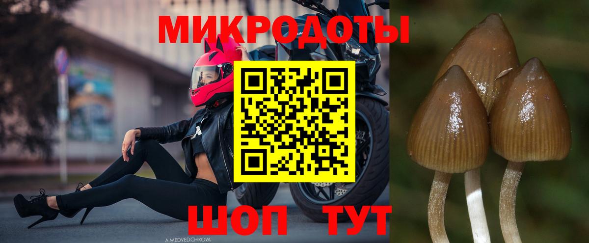 Псилоцибиновые грибы Cubensis  Вход с VPN  Унеча 